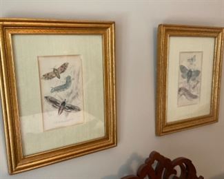 MOTH PRINTS $ 75.00 PAIR 