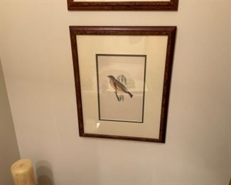 BIRD PRINT $ 45.00