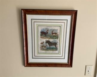 WILD LIFE PRINTS PAIR. $ 75.00