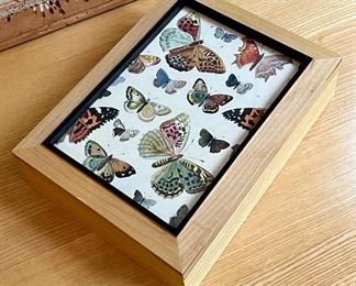 Butterfly Storage Box