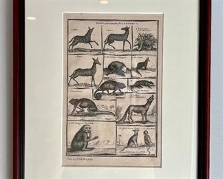 Framed Animal Print
