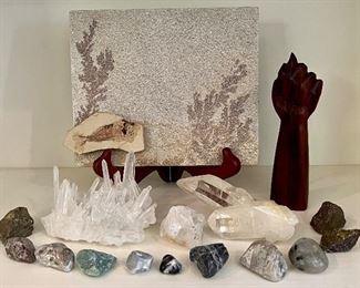 Fossils & Assorted Rocks & Minerals