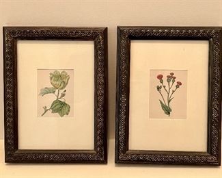 (2) Botanical Prints (tulip & red flowers) - 6.25" x 8.25"
