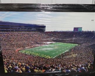 Michigan stadium portrait