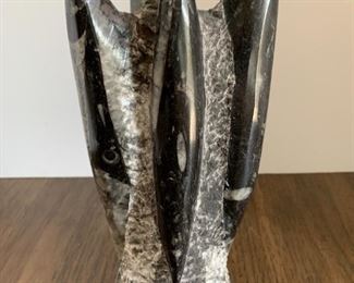 Polished Orthoceras 9 in