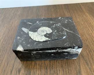 Fossil Orthoceras Ammonite Brown Jewelry Box