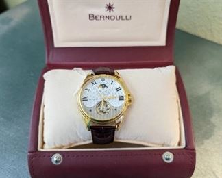 Bernoulli Stainless Steel Watch with Leather Wristband