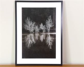 Framed Joseph Donovan Black and White Photo "Merced River"