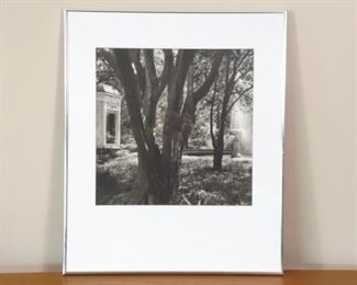 Framed Lynn Geesaman Photo "St. Francisville, Louisiana 1983"