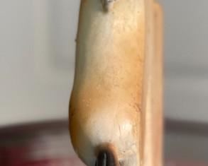 Rolling Rock Premium Beer Display Sign Horse Advertising Chalkware	11x10.75x2in	HxWxD
