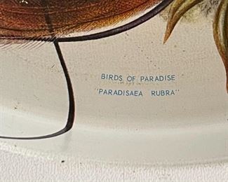 Be Specific Say South Pacific Gold Medal Lager 12" Metal Serving Beer Tray	12in Diameter	
