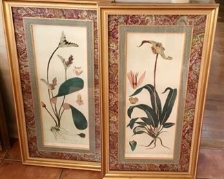 Pair of John Richards Framed Botanicals 