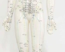 564 - Rubber Japanese acupuncture statue 19" tall
