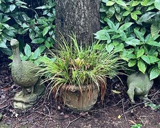 Cement ducks, potted plants