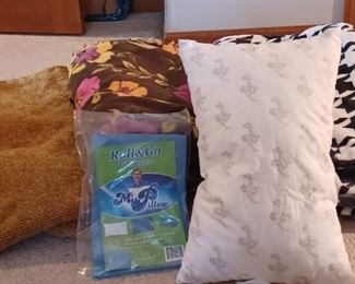 3 Blankets and a My Pillow