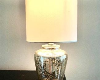 Mercury glass lamp