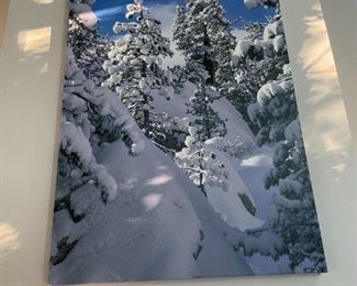 . . . a nice winter print