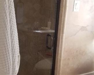 Shower door