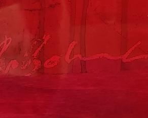 #52 extra view  signature 