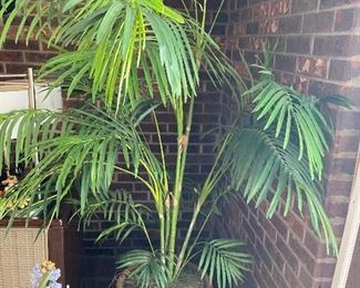 Faux plants