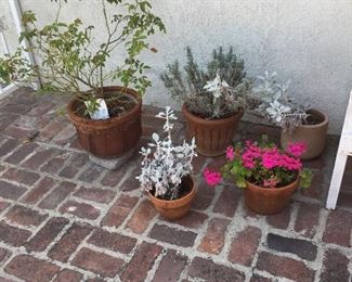 Beautiful pots, plants, patio furniture, storage shed and statuary. 