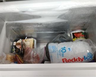 Freezer works great (Food not included)