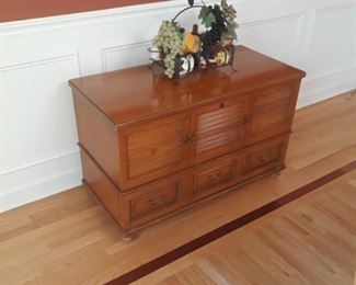 Storage chest with drawer