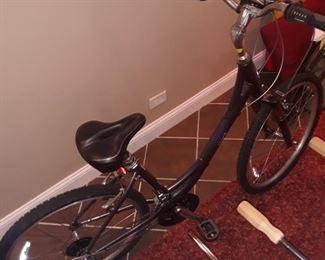 Giant Brand womens bicycle