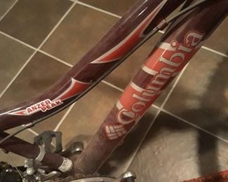 Columbia Anzer Peak model