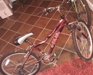 Columbia kids bicycle