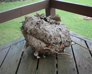 Old Beehive/ Wasps Hive