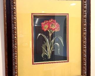 Framed Botanical 