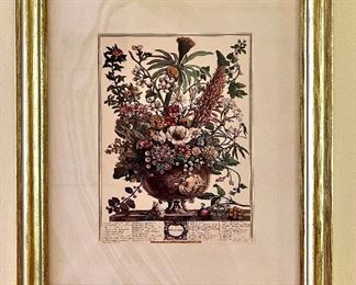 Botanical Flower of the Month - December