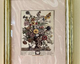 Botanical of the Month - November