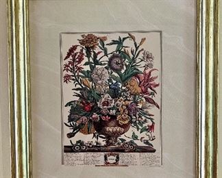 Botanical of the Month - September