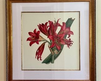Day Lillies Framed Print