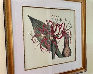 Framed Botanical 