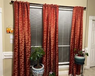 Curtains in pristine condition (6 total panels)