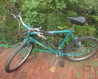 Schwinn Impact 21 speed bicycle