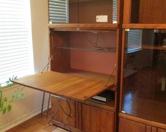Modern Book Case with Fall Front Desk