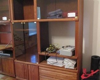 Modern Entertainment Cabinet, use it to organize anything