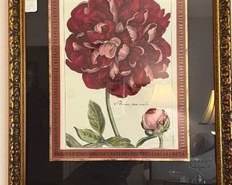 LOVELY BOTANICAL PRINT