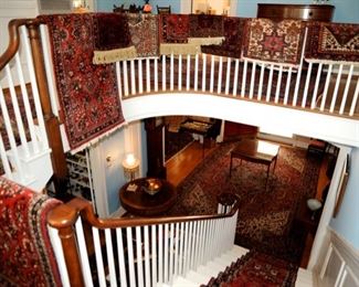 Oriental rugs everywhere