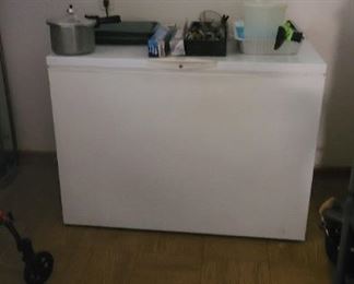 Large freezer works perfectly!