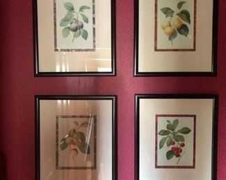 BOTANICAL PRINTS