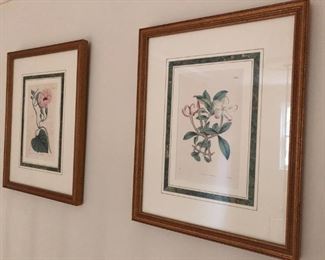 BOTANICAL PRINTS