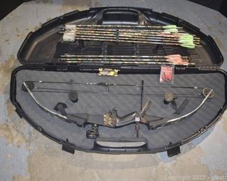 Darton Archery Compound Bow Hardcase Arrows Hex Set Target Points