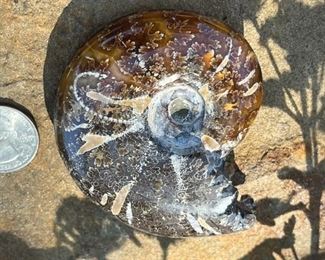 Flip Side. More Points, Minerals, Rocks, and Fossils to come!