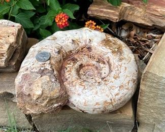 It weighs over 7 1/2 lbs!