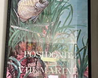 The French Aquarium Center original poster vintage
